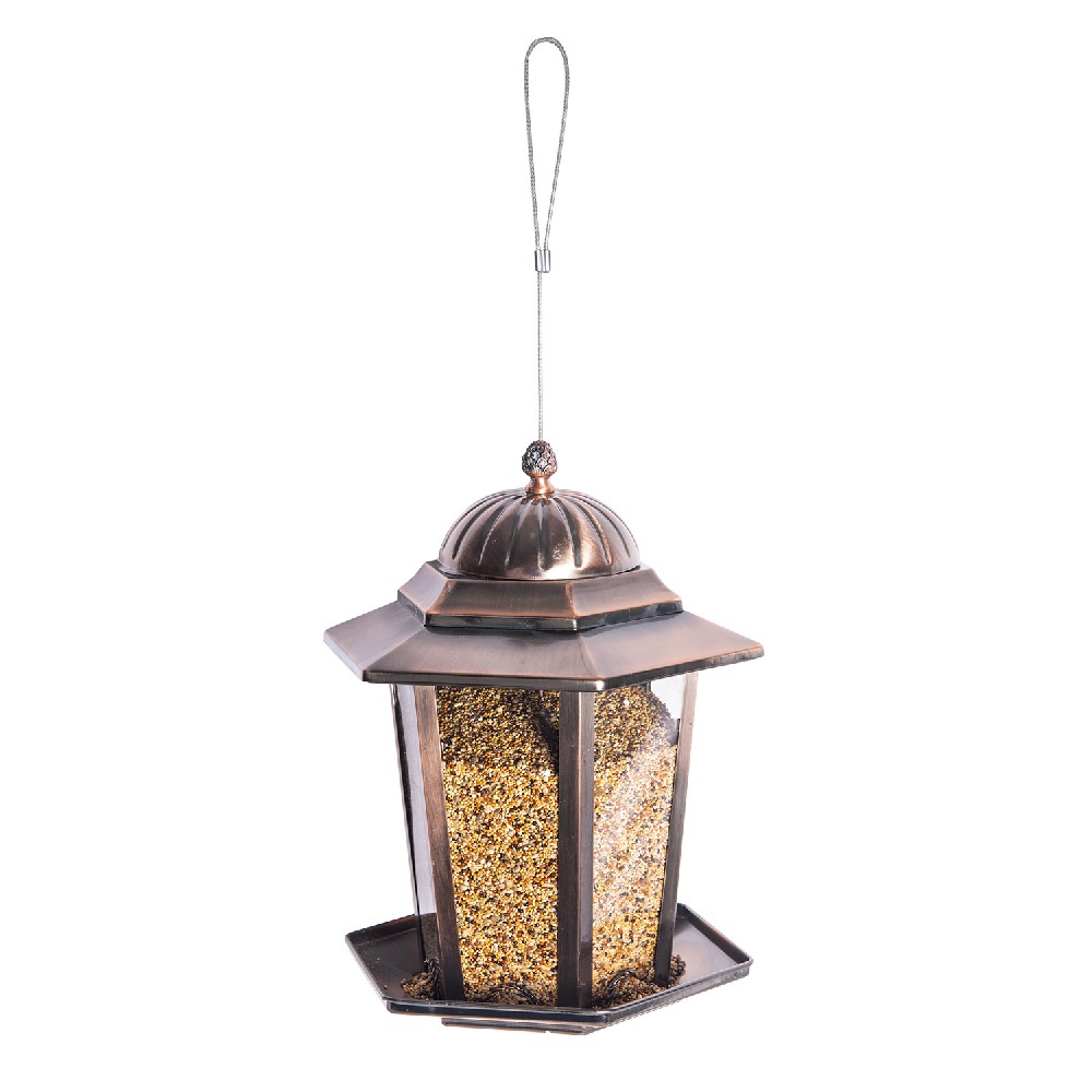Window-Mounted Custom Feeders for Birdwatching Classes Hummingbirds